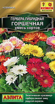 Гербера Горшечная, смесь (10шт) Аэлита/10