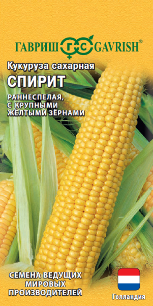 Кукуруза Спирит