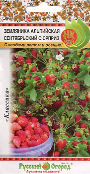 Земляника Сентябрьский сюрприз F1 0.05г (НК)10