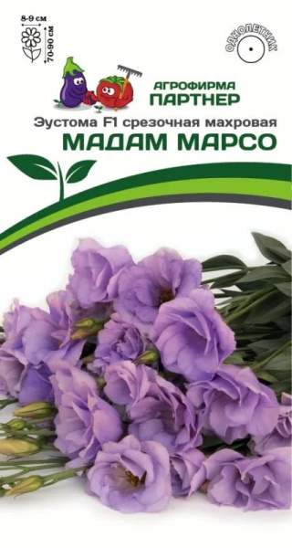 Эустома мадам марсо