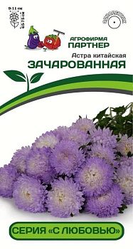 Астра Зачарованная китайская (5шт) Партнер/10