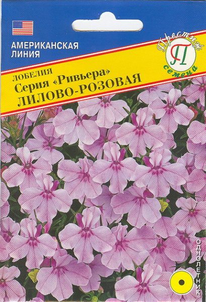 00000015753_1