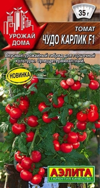 Чудо карлик