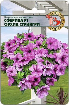 Петуния Сферика Орхид Стрингри F1 (20шт) Биотехника/10