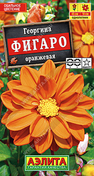Георгина Фигаро Оранжевая махровая (7шт) Аэлита/10