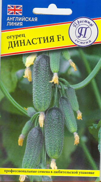 Огурец Династия