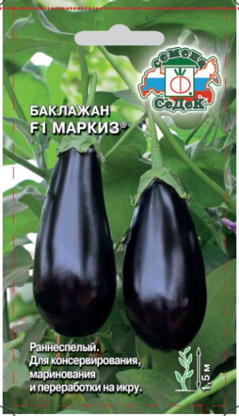 baklazhan_markiz_f1