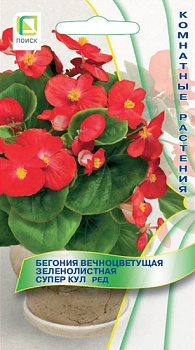 Бегония Супер Кул Ред (10шт) Поиск/10