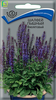 Шалфей Пышный Фиолетовый дубравный (0,1г) Поиск/10