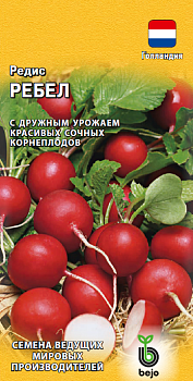 Редис Ребел (1г) (Голландия) Гавриш/10