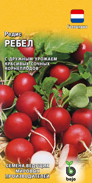 Редис Ребел