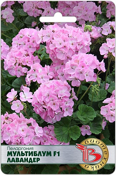 Пеларгония Мультиблум F1 Лавендер (5шт) Биотехника/10