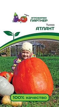 Тыква Атлант (10шт) Партнер/10