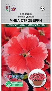 Гвоздика Чиба Строберри (5шт) межвидовая смесь Евросемена/10
