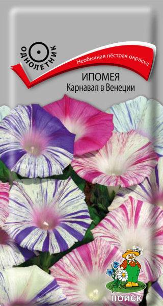 Ипомея Карнавал в Венеции