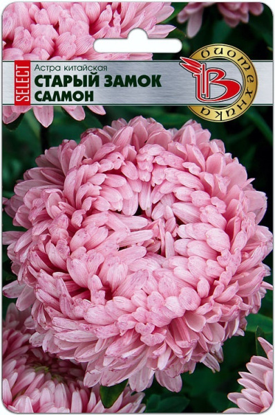 Астра Старый замок Салмон