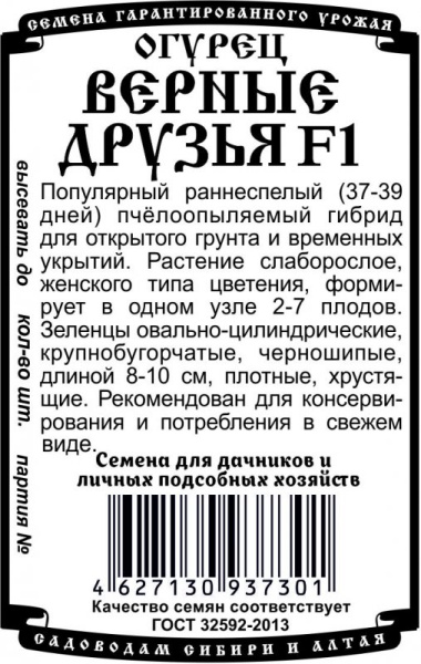 ogurets_vernye_druzya_462