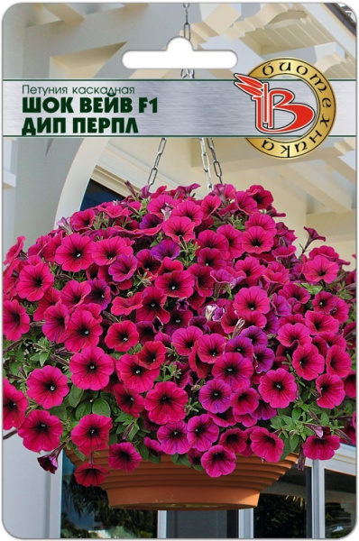Петуния шок вейв дип перпл