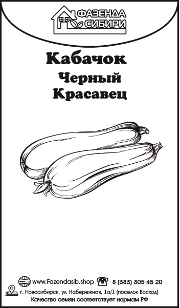 Кабачок черный красавец (1)