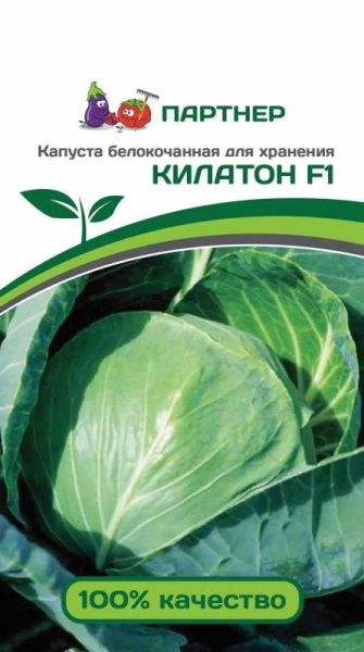 Капуста килатон