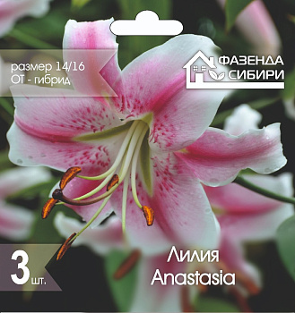  Лилия ОТ-гибрид Анастасия/Anastasia 14/16 (3шт) А-30 Фазенда Сибири
