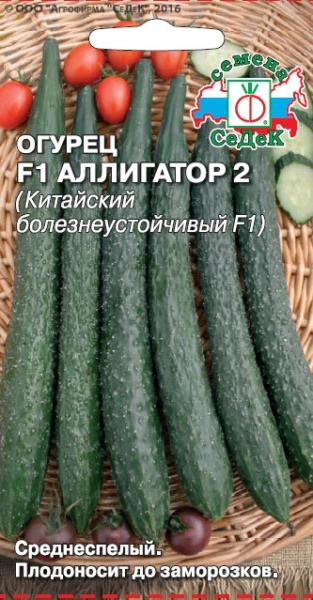 ogurets_alligator_2_f1