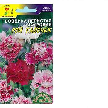 Гвоздика Рой бабочек, мн (0,05г) ЦвСад/10