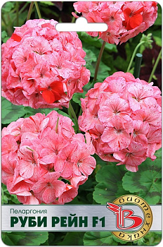 Пеларгония Руби Рейн F1 (5шт) Биотехника/10