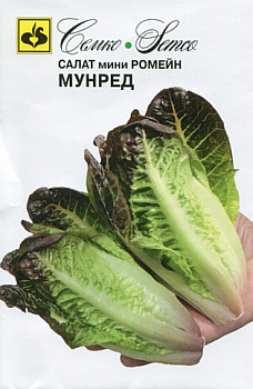 Салат Мунред мини кочан. (15шт) Семко/10