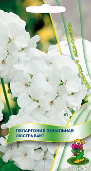 Пеларгония Люстра Вайт F1 (5шт) Поиск/10