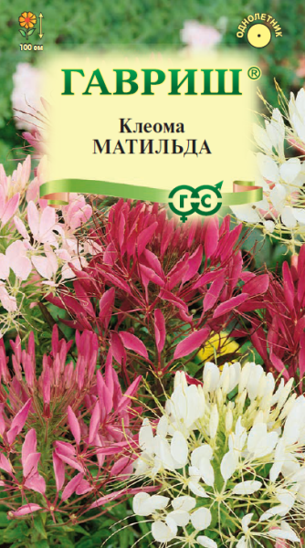 matilda_mini4