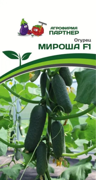 Огурец Мироша