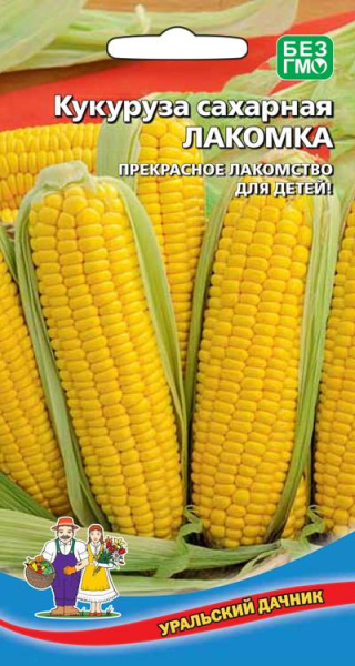 kukuruza-saharnaya-lakomka
