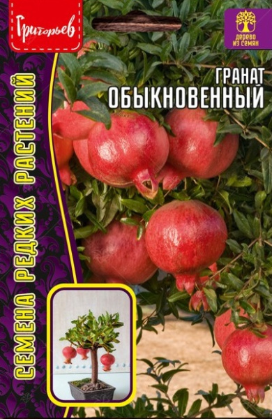 Гранат обыкновенный