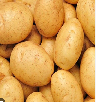 Картофель семенной "Джувел" (раннеспелый столовый желтый сорт) 2 кг (+/- 5%) цена за 2 кг.