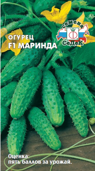 ogurets_marinda_f1