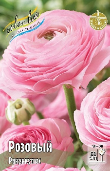  Ранункулюс Розовый (6/7) (10шт) Колорлайн