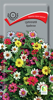 Цинния Арабески (0,1г) Поиск/10