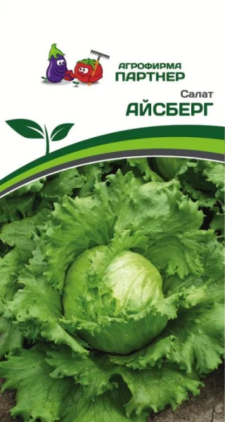 Салат айсберг