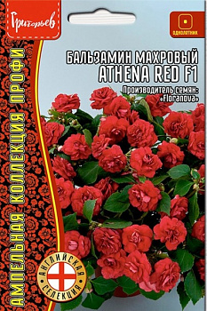 Бальзамин Афина Красный F1 махровый амп. Athena Red (5шт) Редкие овощи/10