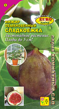 Инжир Сладкоежка обыкновенный (1г) Аэлита/10
