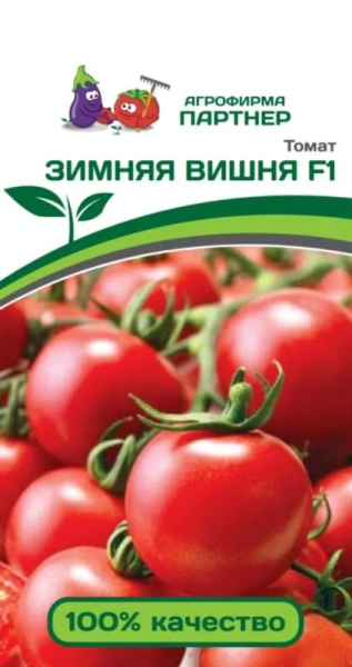 Зимняя вишня