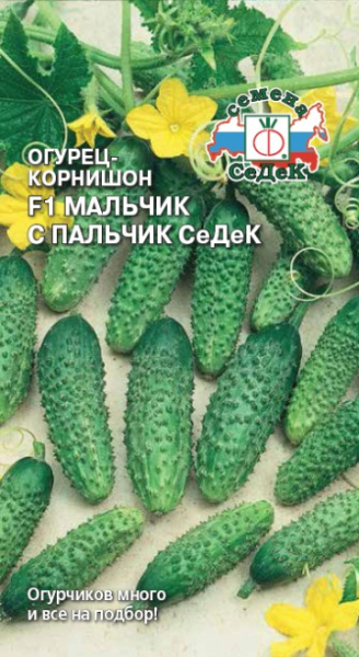 ogurets_malchik_s_palchik_sedek_f1