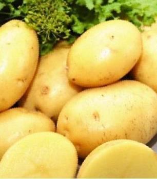 Картофель семенной "Танай" (среднеранний столовый желтый сорт) 2 кг (+/- 5%),  цена за 2 кг