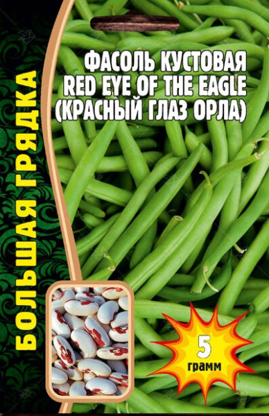 Орлиный глаз