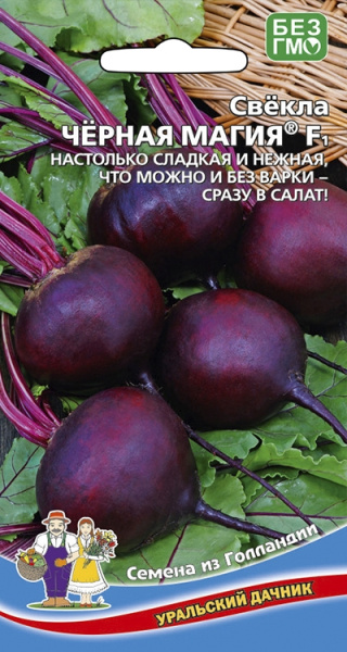 svekla-chernaya-magiya-f1