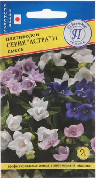 Платикодон астра смесь