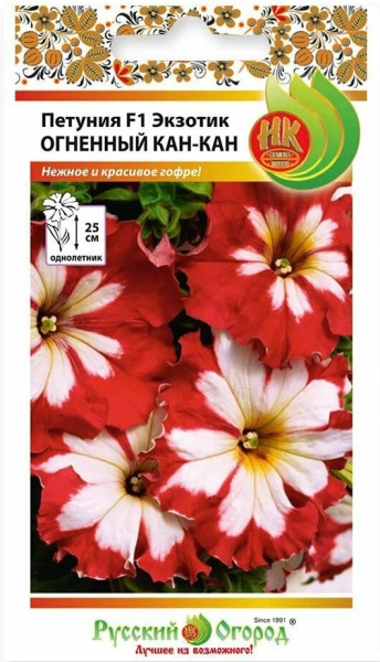 Петуния кан кан