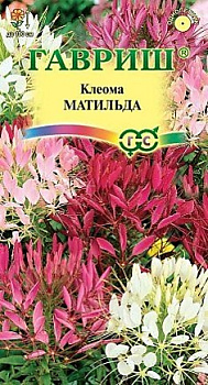 Клеома Матильда (0,3г) Гавриш/10 