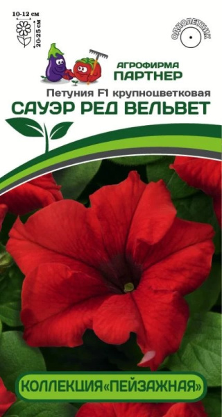 ПЕТУНИЯ САУЭР РЕД ВЕЛЬВЕТ